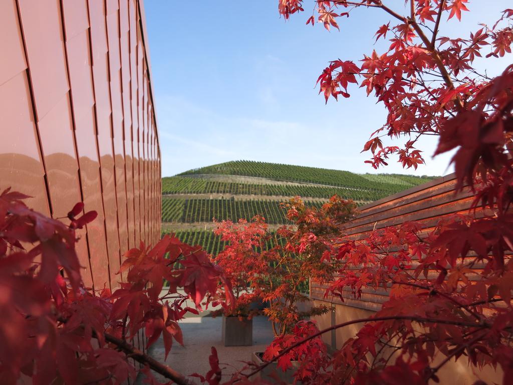 Gut Hermannsberg, Gaestehaus Niederhausen المظهر الخارجي الصورة