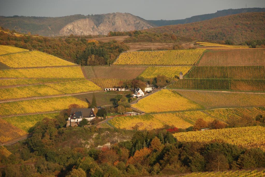 Gut Hermannsberg, Gaestehaus Niederhausen المظهر الخارجي الصورة