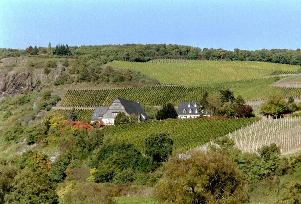Gut Hermannsberg, Gaestehaus Niederhausen المظهر الخارجي الصورة