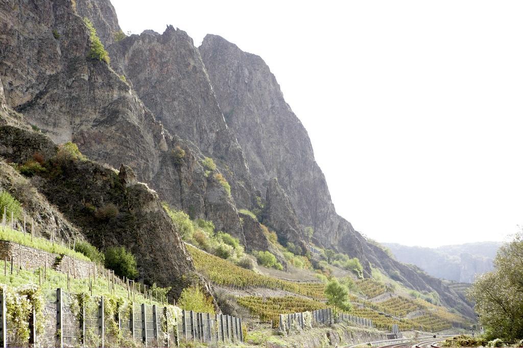 Gut Hermannsberg, Gaestehaus Niederhausen المظهر الخارجي الصورة