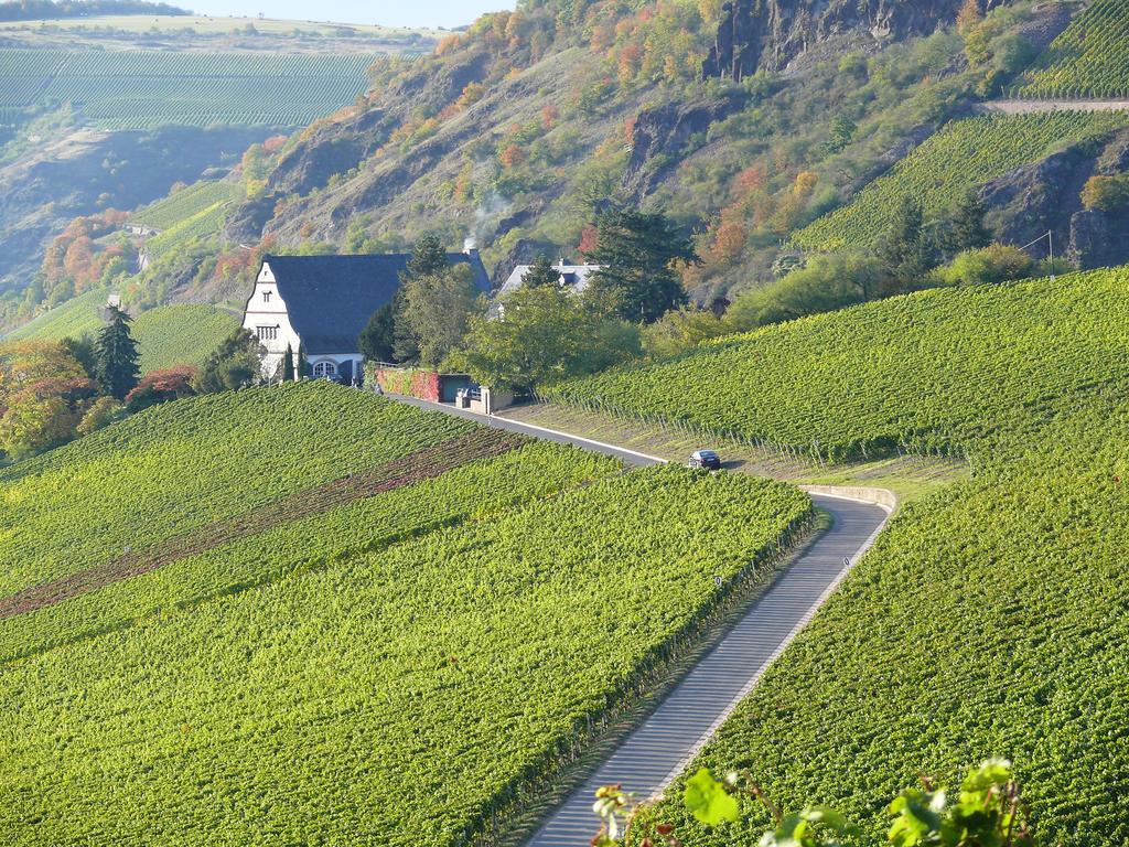 Gut Hermannsberg, Gaestehaus Niederhausen المظهر الخارجي الصورة
